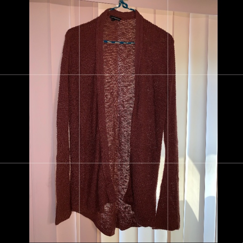 Express Rust colored sweater